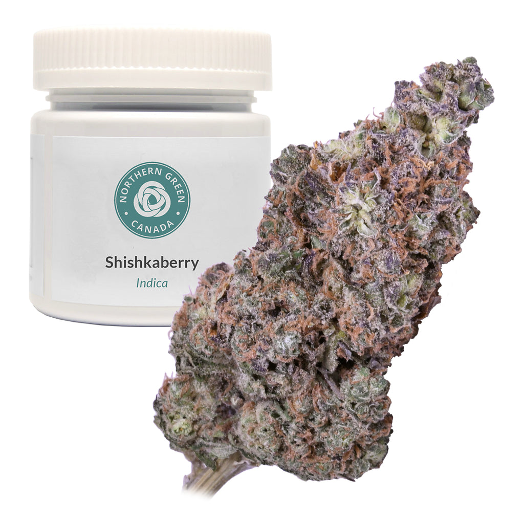 Shishkaberry – Northern Green Canada